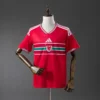 2026 Wales Home
