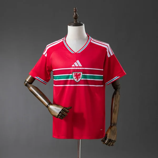 2026 Wales Home