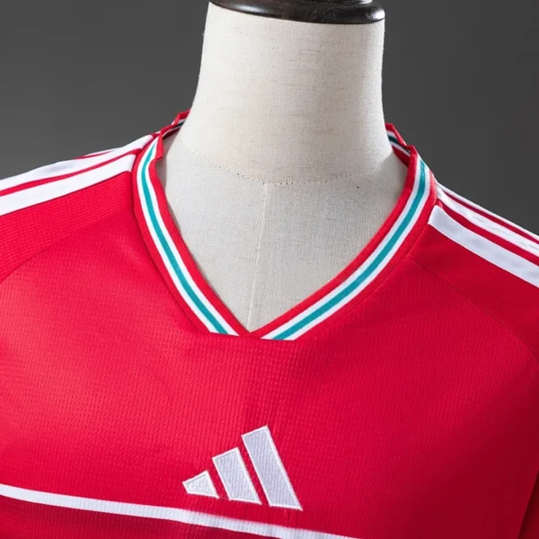 2026 Wales Home