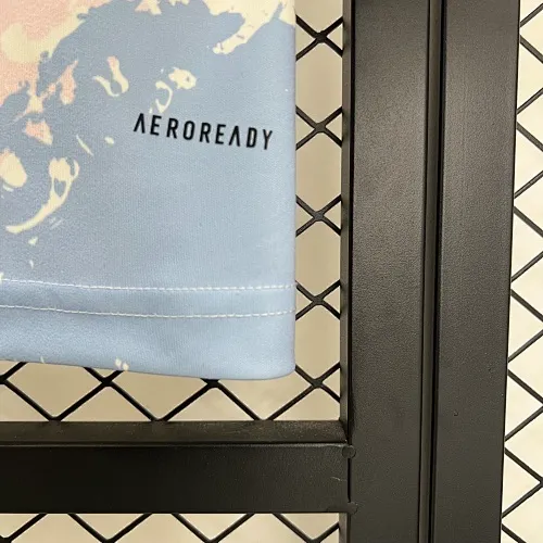 25/26 Aston Villa Third Away