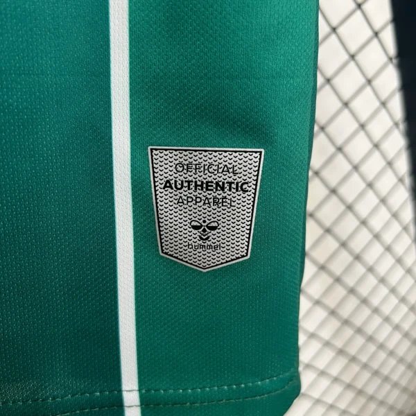 25/26 Werder Bremen Home